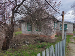 ������ ������� � ���. ���� 1