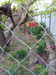 ��������� ������� ϳ�����, �������������, ���������� ���� 5