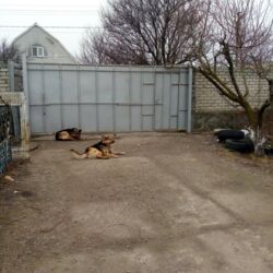 ��� 2 �� �������� ���� 11