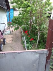 ��������� ������� ϳ�����, �������������, ���������� ���� 6