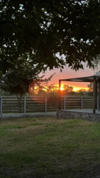 ĳ����� � �������� � �.����������. ���� 20