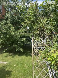 ��������� ������� ���������, �������������, ����������, ������ ���� 14