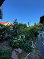 ��������� ������� ���������, �������������, ����������, ����� ���� 5