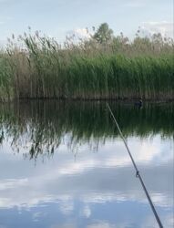 ĳ����� � �������� � �.����������. ���� 11