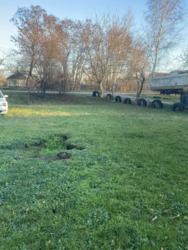 ������ ������� ���� 11