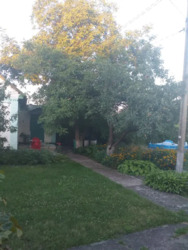 ������� 80 ��. 15 ���. ����� ���� 4