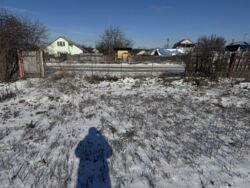 ������ �� ������� ���� 7