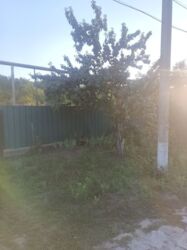 ��������� ������� ��������, ��������, ʳ������������ ���� 2