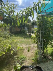 ��������� ������� ���������, �������������, ����������, ������ ���� 29