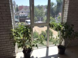 ������ ��� 3 �����. ���� 3