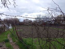 ������ ������� � ���. ���� 6