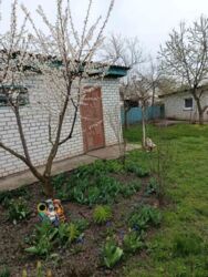 ��������� ������� �������, �����������, ���������� ���� 2