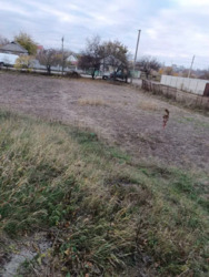 ��������� ������� �������, �����������, ʳ������������ ���� 6