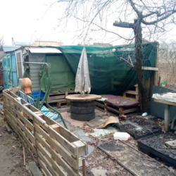 ��� 2 �� �������� ���� 9