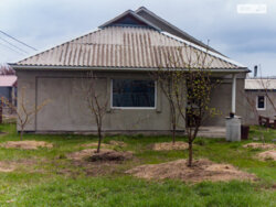 ��������� �������� ������� ���� 19