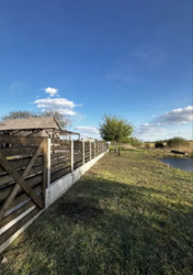 ĳ����� � �������� � �.����������. ���� 10