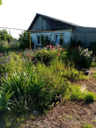 ��������� ������� ���� 16