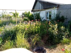 ��������� ������� ���� 14