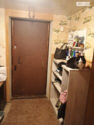 1/2 ������� � ������� ������ ���� 17