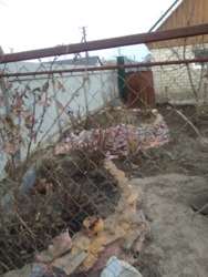 ��������� ������� ϳ�����, �������������, ���������� ���� 7