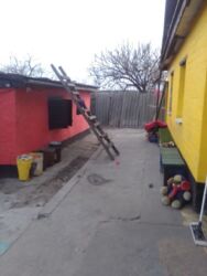 ��������� ������� ϳ�����, �������������, ���������� ���� 8