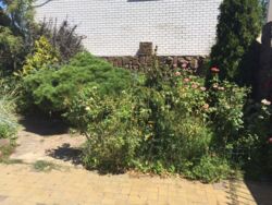 ������ ��� 3 �����. ���� 8