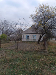 ��������� ������� �������, �����������, ʳ������������ ���� 2