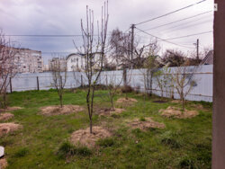 ��������� �������� ������� ���� 27