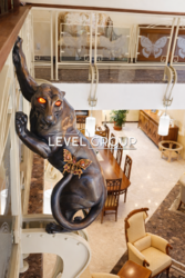 ������ 3 ����������� ������� ������� � ������� �� 45 �����, 700 ��. �, 5 �����, �� ������������ ���� 12