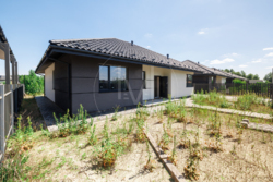 ������/�������/������ ���� 2