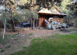 ������� ����, ���������, ������ ��������, �������� ������� �� '�������' �� ��������� �� ̳�����. ���� 22