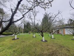 �� ������� ������, ��� � ��������� � ������� �� ���� ���� 16