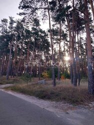 ������ ������� �� ������� ����, ��������� ³��-˳�������, �������� �����-�����, ���, �����������, ���. ˳�����, 19 ���� 15