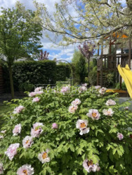 ��������� ������� �������������� ���������, ����������, ������� ���� 2