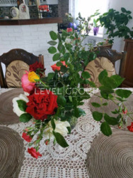 ������ ������� ��� ����������� ����� �� ������ � ���, ���������� �����, ������ ���. ���� 20