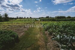 ��� ����� ������������ � ��� ϳ����� �������������� �-� �� ������� 2,63 ��. ���� 19