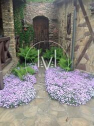 ������� 170 �2 4 ������� ϳ������. ĳ����� 6 ����� ���� ��� � �����. ���� 14