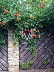 ������� 170 �2 4 ������� ϳ������. ĳ����� 6 ����� ���� ��� � �����. ���� 13