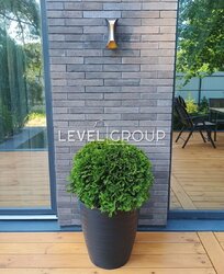 ������� �����, ����������� ����� | ���. ������������ ���� 15