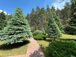 Продаж шикарної резиденції! 36 соток. СПА, кінотеатр і інше! фото 24 Продаж шикарної резиденції! 36 соток. СПА, кінотеатр і інше! фото 24