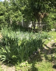 ������ 2 ����������� ������� � ������� �� 18 �����, 250 ��. �, 9 �����, �� ���. ����� ������������ 23 ���� 18