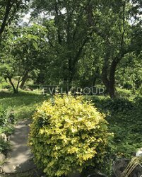 ������ 2 ����������� ������� � ������� �� 18 �����, 250 ��. �, 9 �����, �� ���. ����� ������������ 23 ���� 16