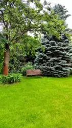 ������ ������� � �. �����, �������� ���., 1-� ���� 30