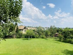  ,  ,    . ( -)    17