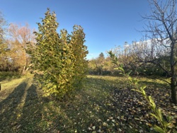 ������� � ��������� ������� ���� 7