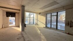 ������� �������� ������� Crystal Forest, ��������, ���, ���������. ���� 3