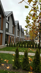 ����, ��������� Legend Town, ������ ������ ������, 15 ���� 5