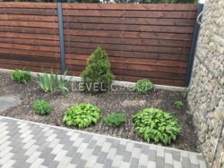 ������� �� �������, � ������������� �������� ��������� '�����������' ���� 19