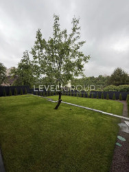 ������ ��������� ������� ����� � ����������� ������. ���� 13