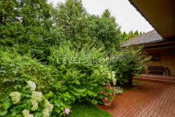 Будинок на Озері с. Гатне Одеське направлення фото 44 Будинок на Озері с. Гатне Одеське направлення фото 44